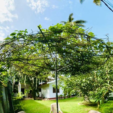 Sanithu Homestay And Villa Galle Ngoại thất bức ảnh