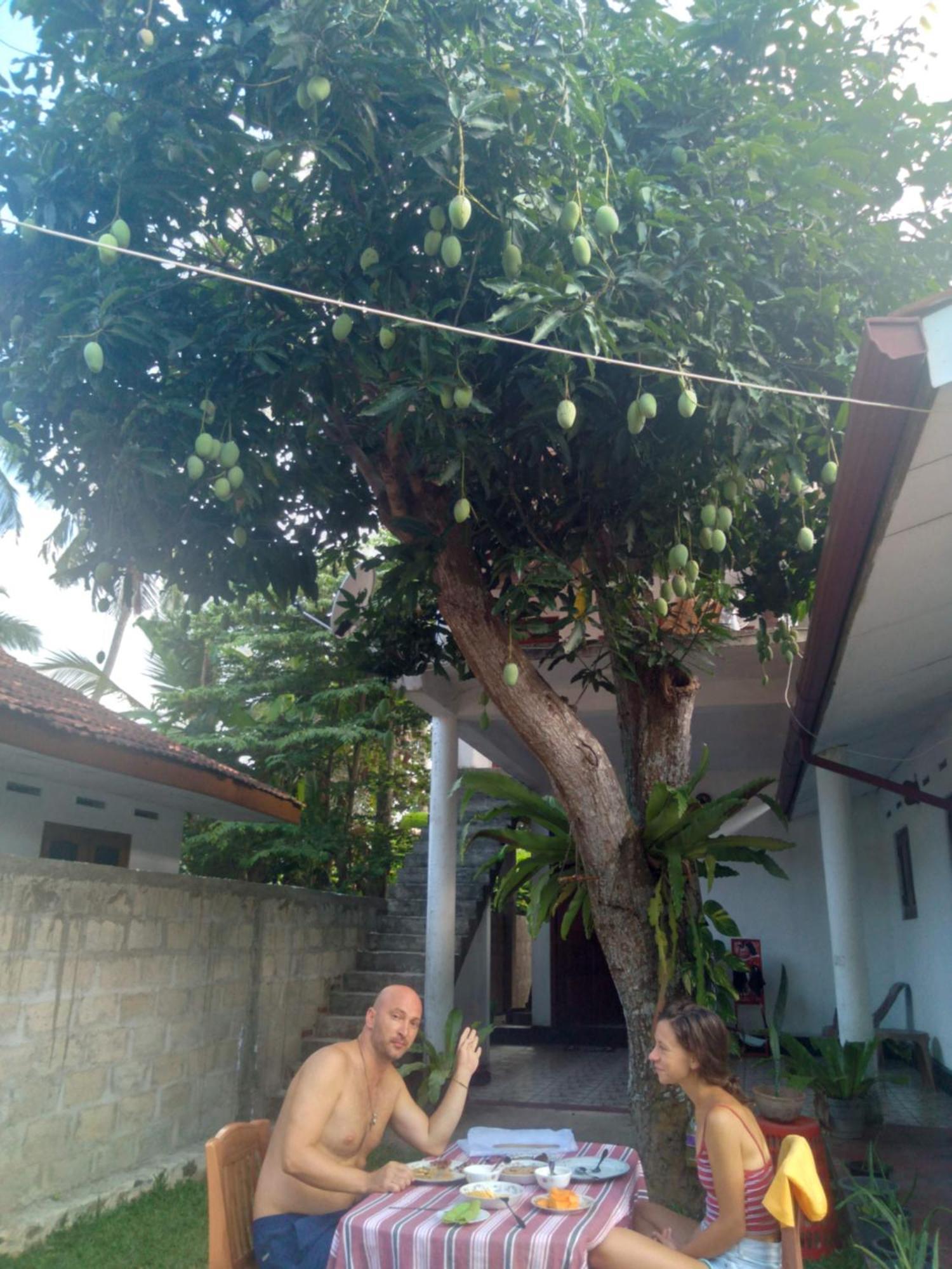 Sanithu Homestay And Villa Galle Ngoại thất bức ảnh