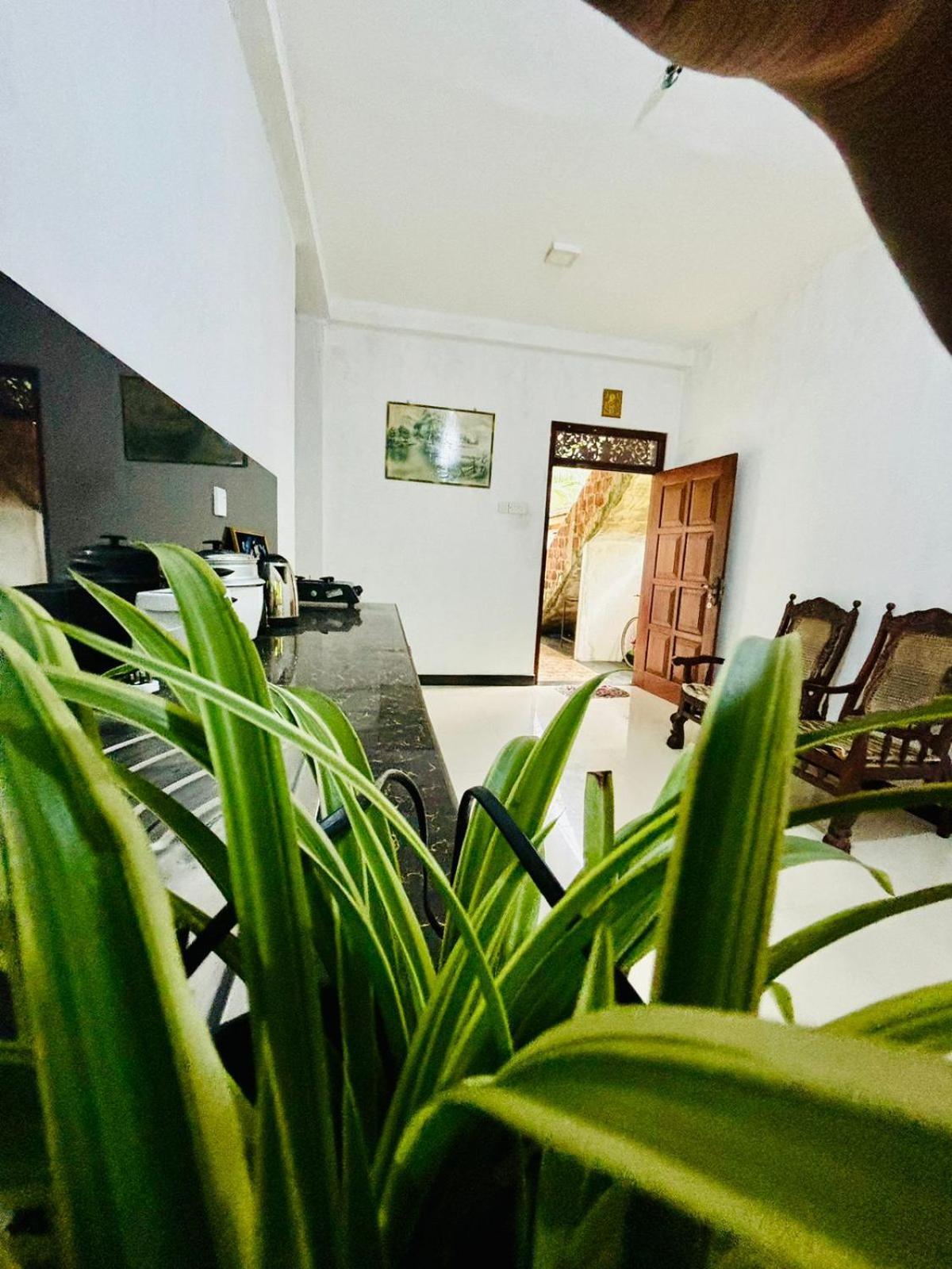 Sanithu Homestay And Villa Galle Ngoại thất bức ảnh