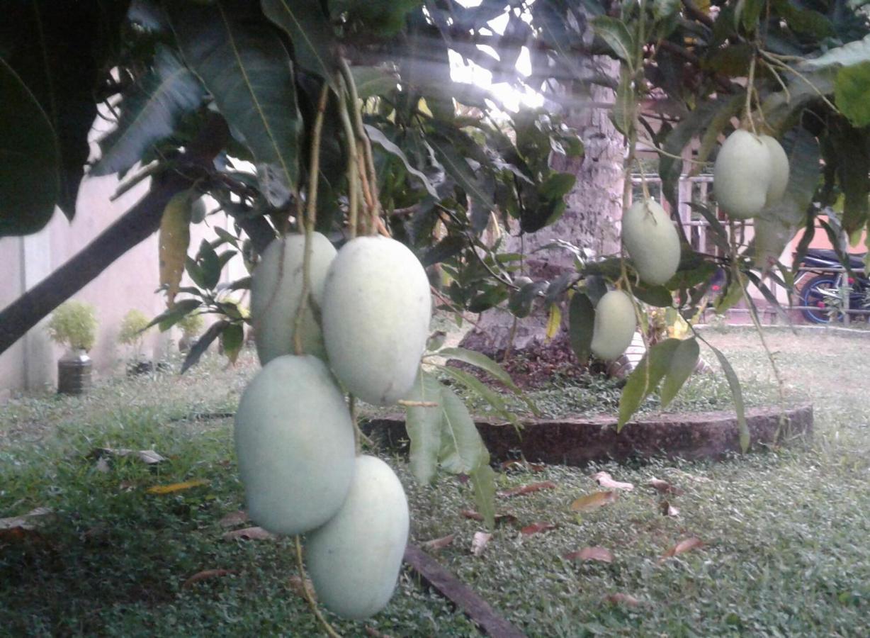 Sanithu Homestay And Villa Galle Ngoại thất bức ảnh